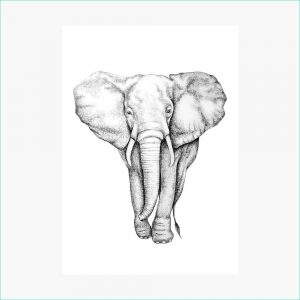 Dessin éléphant D&amp;#039;afrique Élégant Photographie 【50 】 Dessin Elephant D Afrique