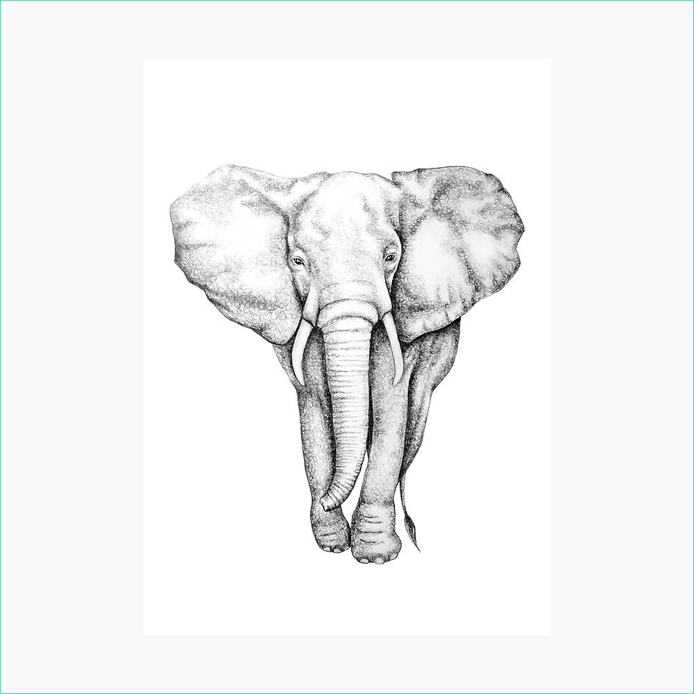 Dessin éléphant D&amp;#039;afrique Élégant Photographie 【50 】 Dessin Elephant D Afrique