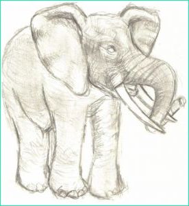 Dessin éléphant D&amp;#039;afrique Luxe Photos Dessin Elephant Afrique Beau Image Sculi Dessin éléphant D