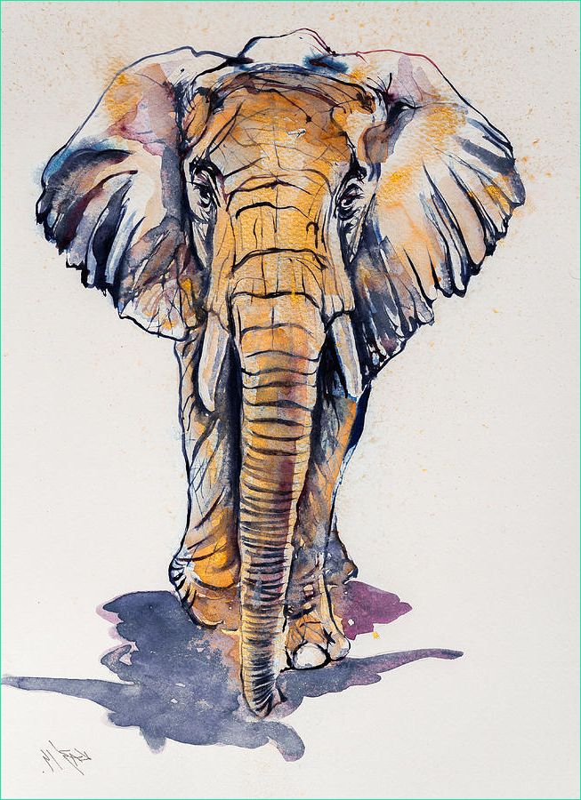 Dessin Elephant De Face Bestof Photographie Elephant In Gold Painting by Kovacs Anna Brigitta