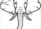 Dessin Elephant De Face Inspirant Photos Elephant Head African Elephant