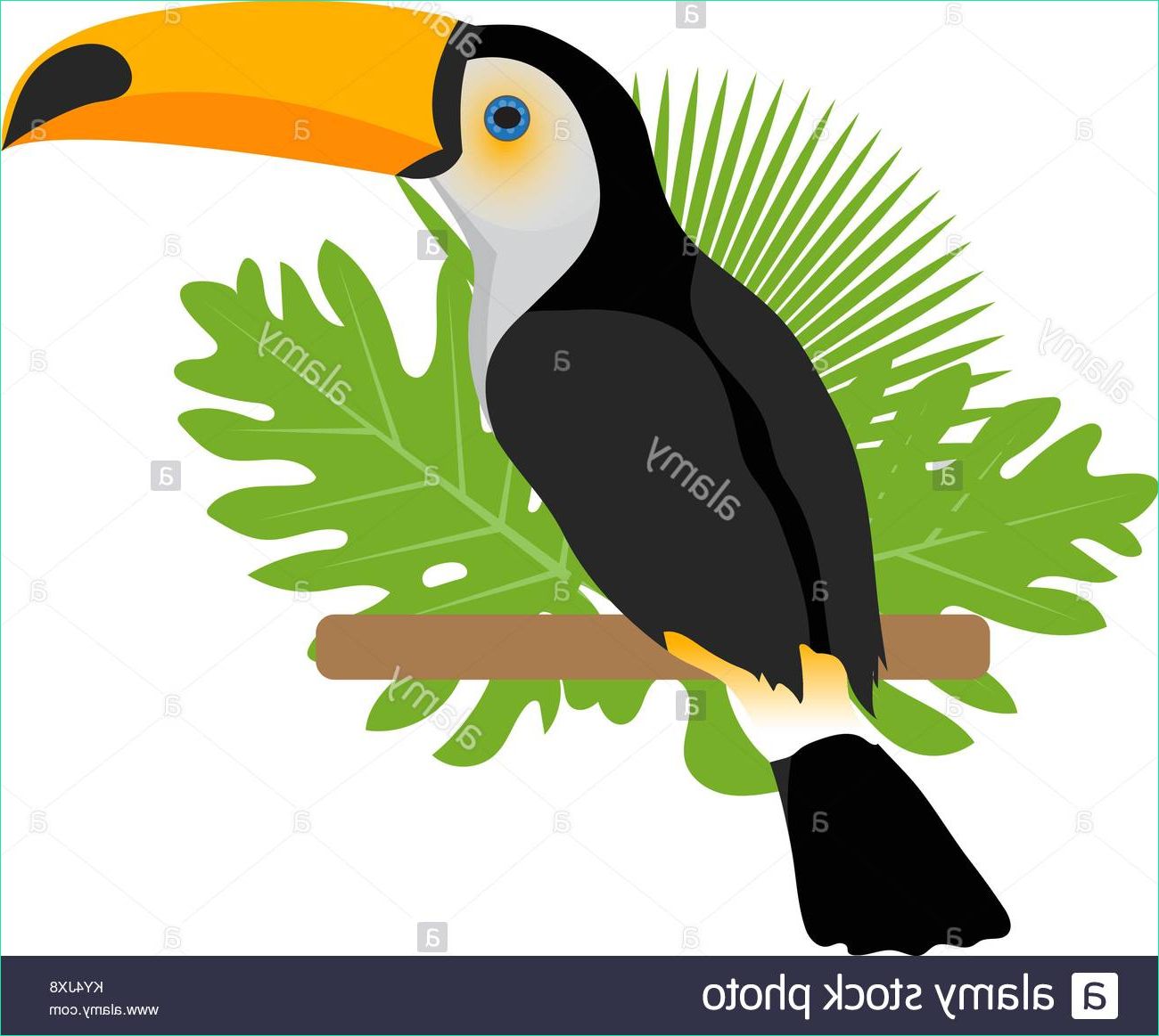 Dessin Exotique Bestof Galerie toco toucan Icon is A Flat Cartoon Style Exotic Bird