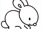 Dessin Lapin Simple Beau Photos Lapin Dessin Simple Cool Graphie Coloriage Lapin