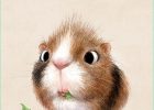 Dessin Mignon Animaux Beau Stock Incredibly Cute Animal Illustrations by Sydney Hanson Will