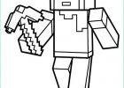 Dessin Minecraft A Colorier Beau Galerie Coloriage Minecraft Alex à Imprimer