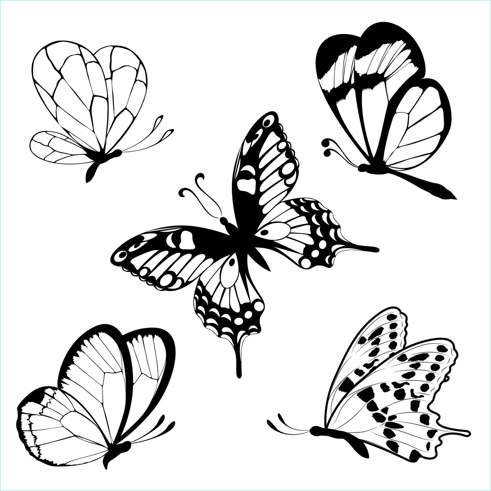 Dessin Papillon Facile Cool Images Coloriage Papillons Facile