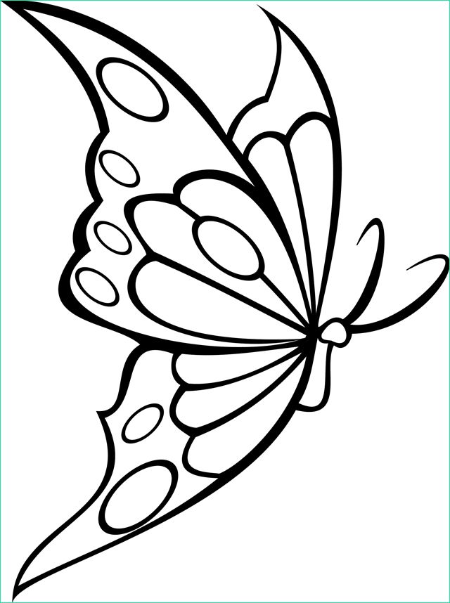 Dessin Papillon Facile Unique Images Papillon Coloriage Recherche Google