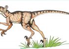 Dessin Velociraptor Bestof Collection Dessins En Couleurs à Imprimer Vélociraptor Numéro