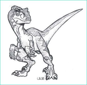 Dessin Velociraptor Luxe Collection Resultado De Imagem Para Baby Velociraptor Drawing