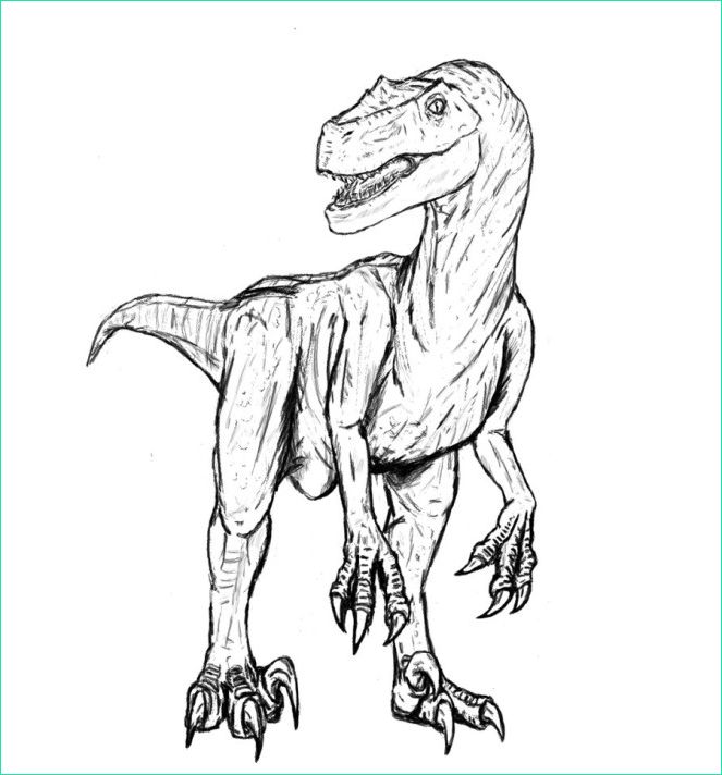 Dessin Velociraptor Nouveau Collection Velociraptor Coloring Pages Best Coloring Pages for Kids