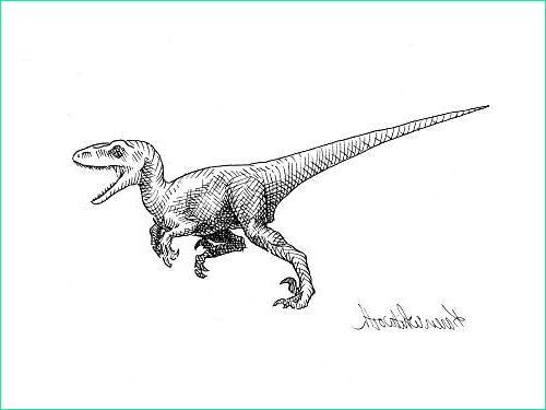 Dessin Velociraptor Nouveau Photos Amazon Dinosaur Art Velociraptor Drawing original