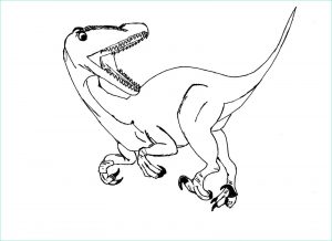 Dessin Velociraptor Nouveau Photos Coloriages à Imprimer Vélociraptor Numéro