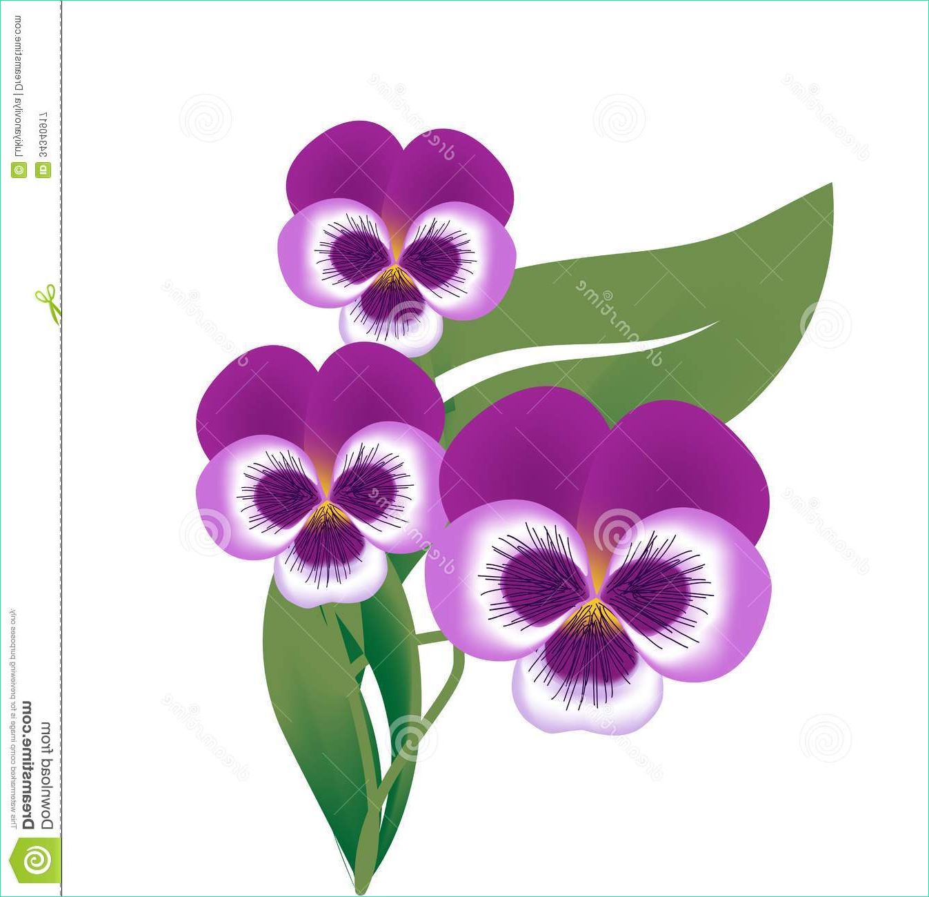 Dessin Violette Bestof Photos Fleur De La Fleur Violette Illustration De Vecteur