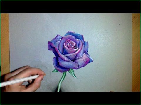 Dessin Violette Inspirant Collection Dessin Réaliste Une Rose Violette