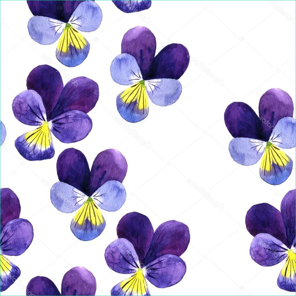Dessin Violette Unique Photographie Patrón Sin Costura Con Acuarela Dibujo Flores Violetas
