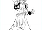 Dragon Ball Z Coloriage Beau Stock Go A Dragon Ball Z Kids Coloring Pages