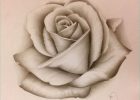 Fleur Dessin Realiste Bestof Galerie Rosas Black and Grey