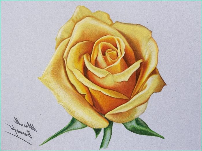 Fleur Dessin Realiste Impressionnant Image 1001 Modèles Et Conseils Pour Apprendre Ment Dessiner