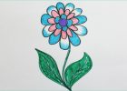 Fleur Dessins Luxe Collection Ment Dessiner Des Fleurs