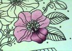 Fleur Dessins Luxe Photos Tuto Coloriage Fleur Aux Crayons De Couleurs