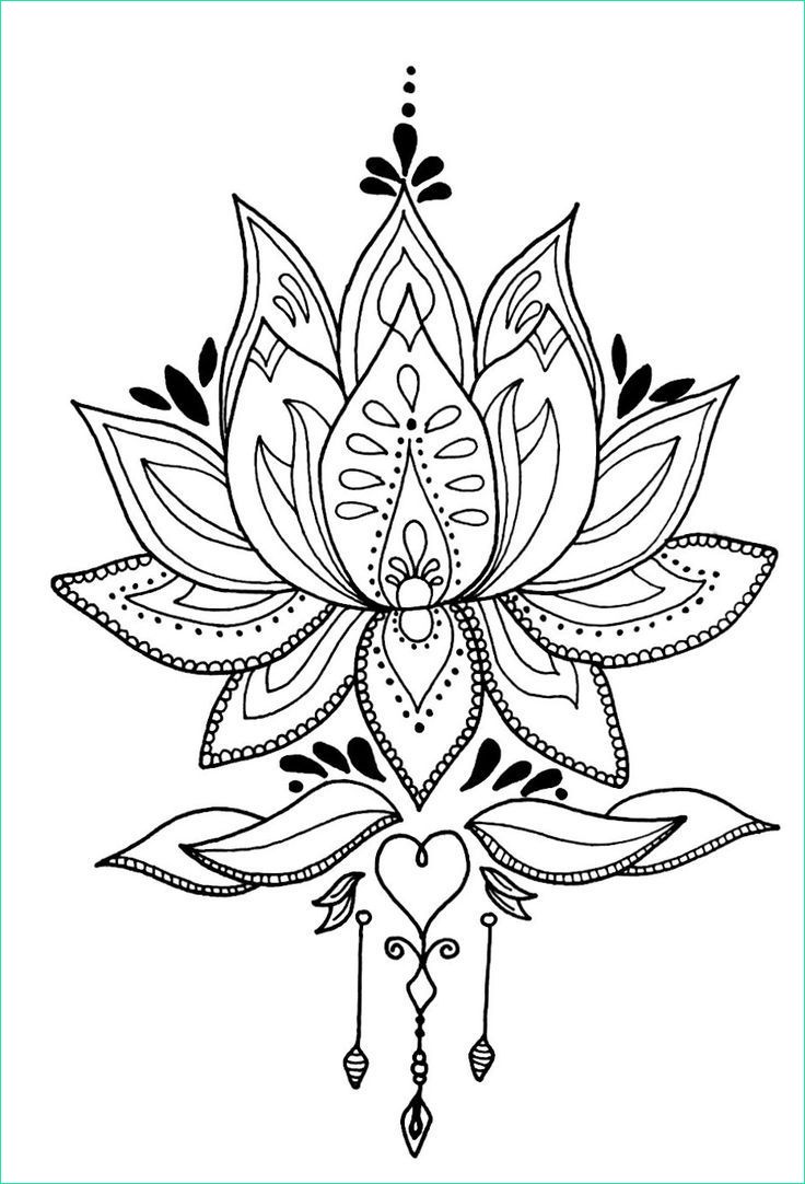 Fleur Lotus Dessin Beau Photographie Mandala Fleur De Lotus – Dessiné Par Moi Lotus Flower
