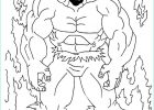 Hulk A Colorier Bestof Photos 223 Dessins De Coloriage Hulk à Imprimer Sur Laguerche