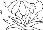 Petite Fleur Dessin Cool Photos Unique Coloriage De Petite Fleur