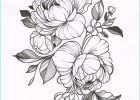 Petite Fleur Dessin Impressionnant Stock 1001 Images De Dessin De Fleur Pour Apprendre à Dessiner