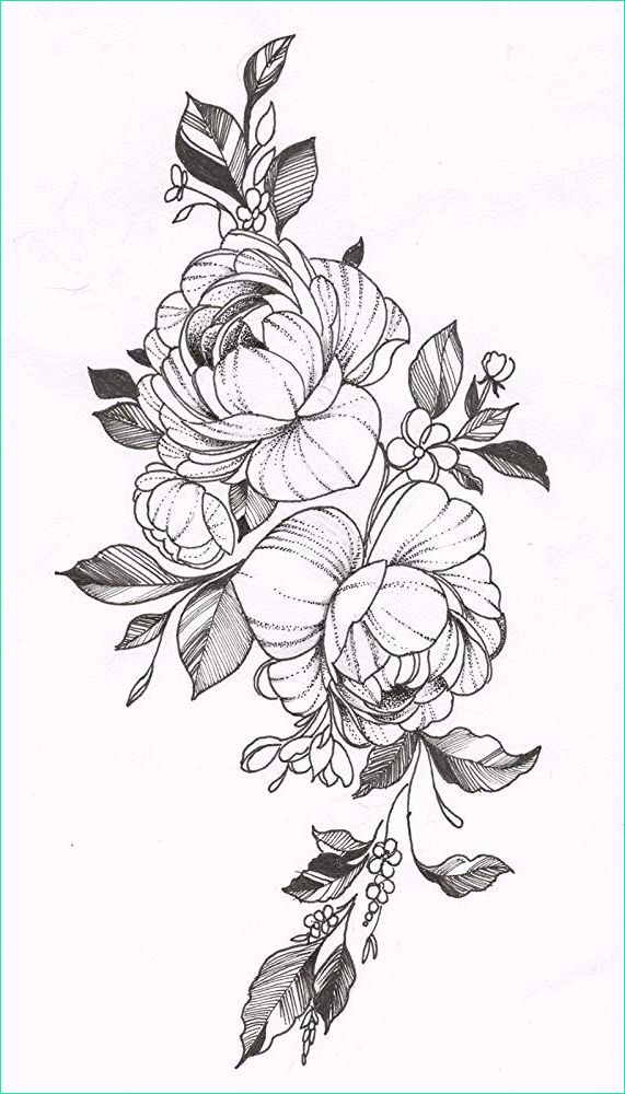 Petite Fleur Dessin Impressionnant Stock 1001 Images De Dessin De Fleur Pour Apprendre à Dessiner