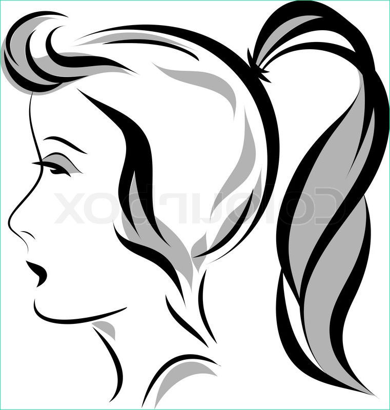 Queue Dessin Beau Photos Vector Illustration Of Girl Head with A Ponytail