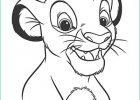 Simba Coloriage Luxe Images Coloriage Simba Adulte