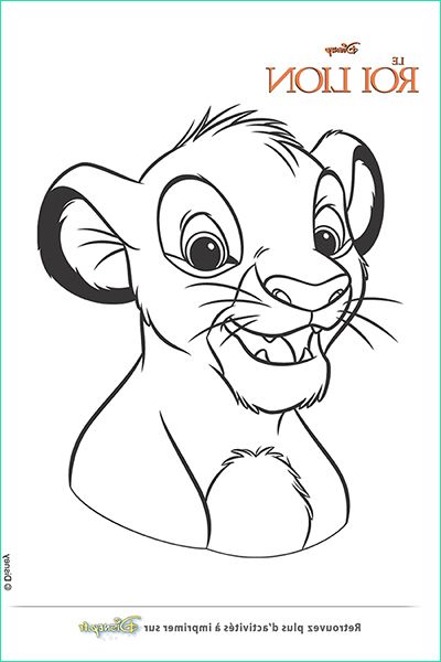 Simba Coloriage Luxe Images Coloriage Simba Adulte