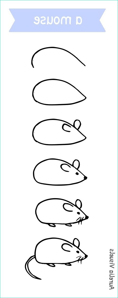 Souris Dessin Simple Inspirant Image Dessiner Une souris Draw A Mouse ⇥ Aurelia Visuels