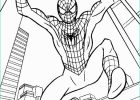 Spiderman Coloriage Beau Galerie Coloring Pages Spiderman Free Printable Coloring Pages