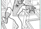 Spiderman Coloriage Bestof Collection Coloriage Spiderman Gratuit Héros