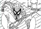 Spiderman Coloriage Impressionnant Stock Coloriage Spiderman 26 – Zimmpel