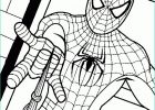 Spiderman Coloriage Luxe Images Coloriage De Spiderman A Imprimer Gratuit