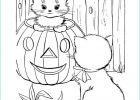 Coloriage A Imprimer Halloween Élégant Photos Coloriage Chaton Dans Citrouille D Halloween Dessin