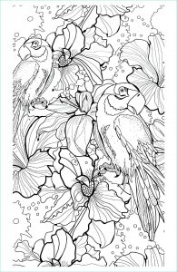 Coloriage Adulte à Imprimer Beau Collection Perroquets Oiseaux Coloriages Difficiles Pour Adultes
