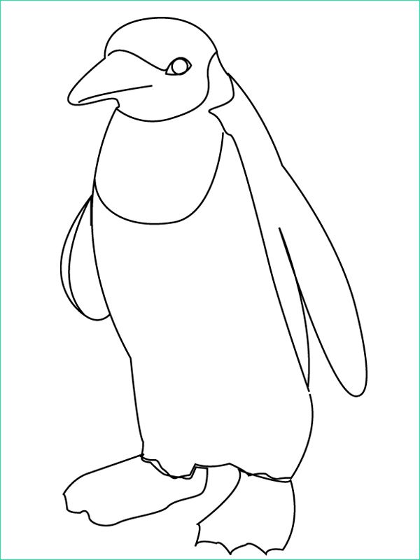 Coloriage De Pingouin Luxe Images Coloriage Le Pingouin Momes