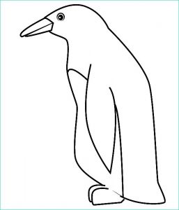 Coloriage De Pingouin Unique Images Coloriage Pingouin