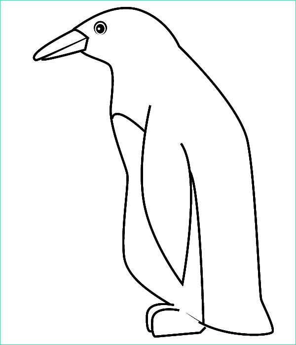 Coloriage De Pingouin Unique Images Coloriage Pingouin