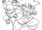 Coloriage Dragonball Luxe Image Coloring Page Dragon Ball Z Coloring Pages 52