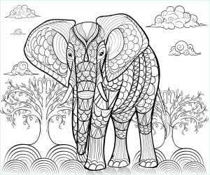 Coloriage Gratuit à Imprimer Impressionnant Photographie Coloriage A Imprimer Elephant Gratuit – Gratuit Coloriage