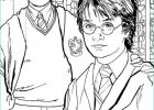 Coloriage Harry Potter Beau Photos Harry Potter and Ron are Best Friend Coloring Page Netart