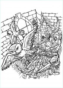 Coloriage Harry Potter Impressionnant Galerie Coloriage Harry Potter Hibou à Imprimer Sur Coloriages Fo