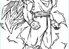 Coloriage Sangoku Luxe Stock Coloriage De Sangoku Impressionnant Collection Coloriage