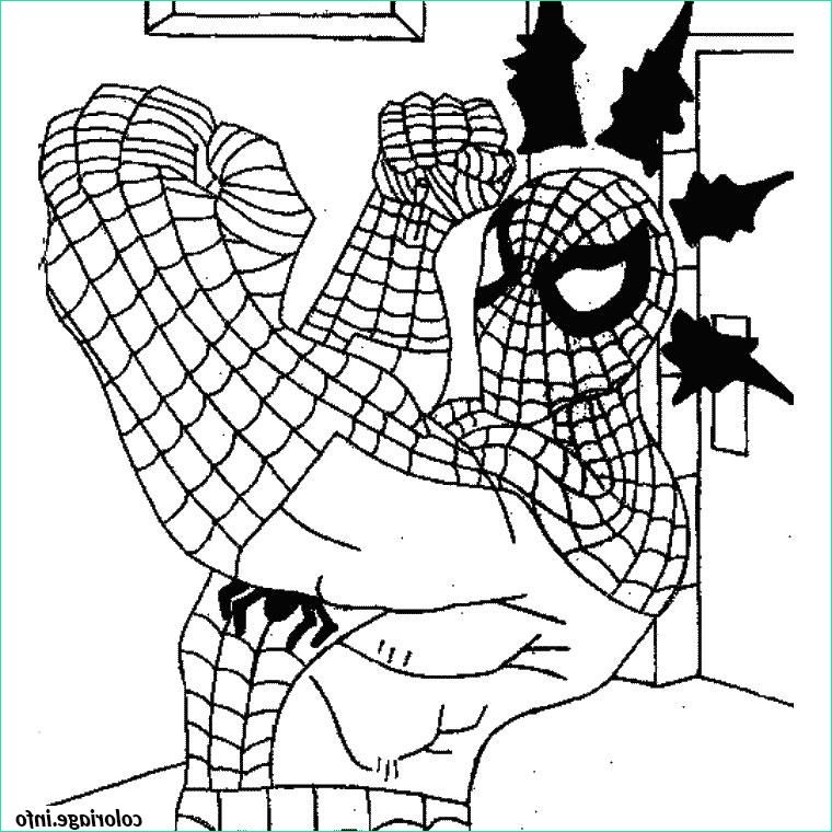Coloriage Spiderman à Imprimer Gratuit Cool Stock Coloriage Spiderman Fait Un Jab Avec Sa Main Droite