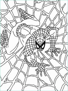 Coloriage Spiderman à Imprimer Gratuit Élégant Photos Coloriage Spiderman Couleur Dessin Gratuit à Imprimer