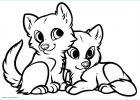 Coloriages à Imprimer Animaux Bestof Collection Dessin A Imprimer Gratuit Animaux Unique S Coloriage